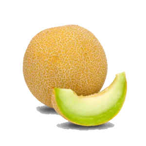 كنتالوب