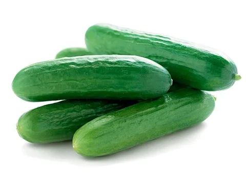 خيار بلدي