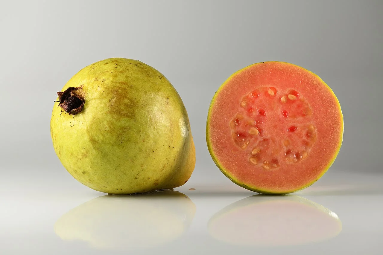 جوافة