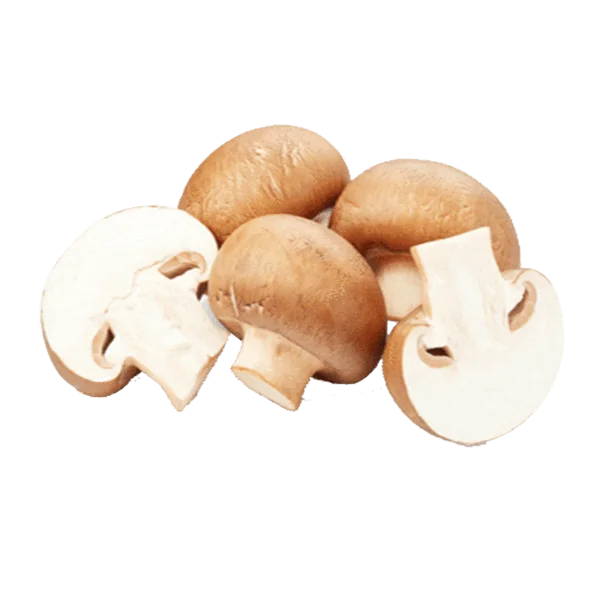 مشروم طازج