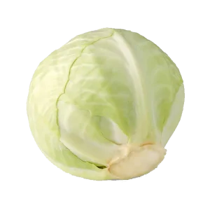 كرنب أبيض